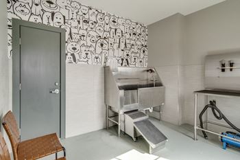Pet spa